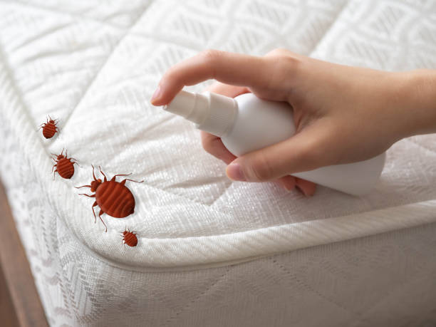 Best Indoor Pest Control  in Avon By The Sea, NJ